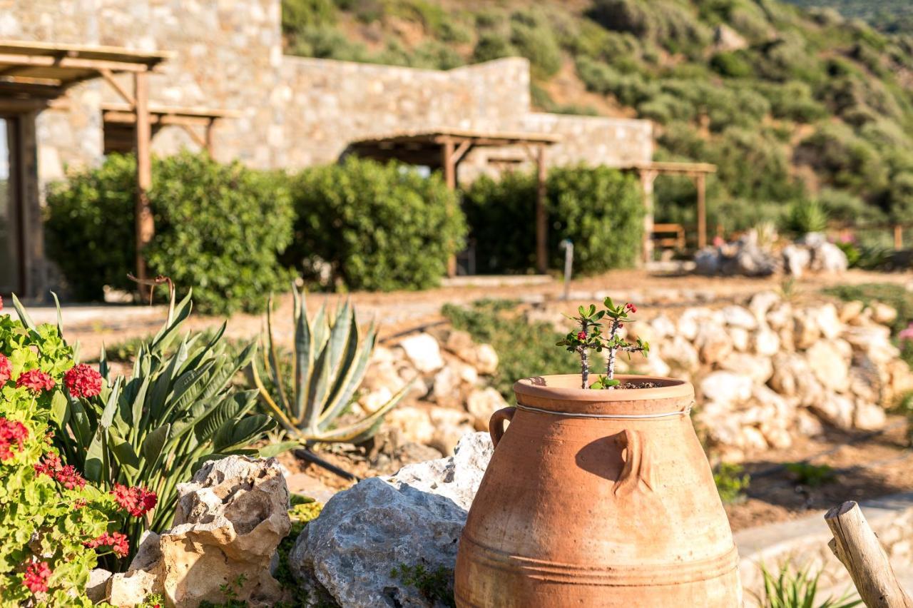 Enastron Apartments Σητεία Εξωτερικό φωτογραφία